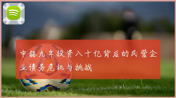 中赫九年投资八十亿背后的民营企业债务危机与挑战