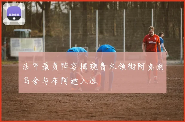 法甲最贵阵容揭晓青木领衔阿克利乌舍与布阿迪入选
