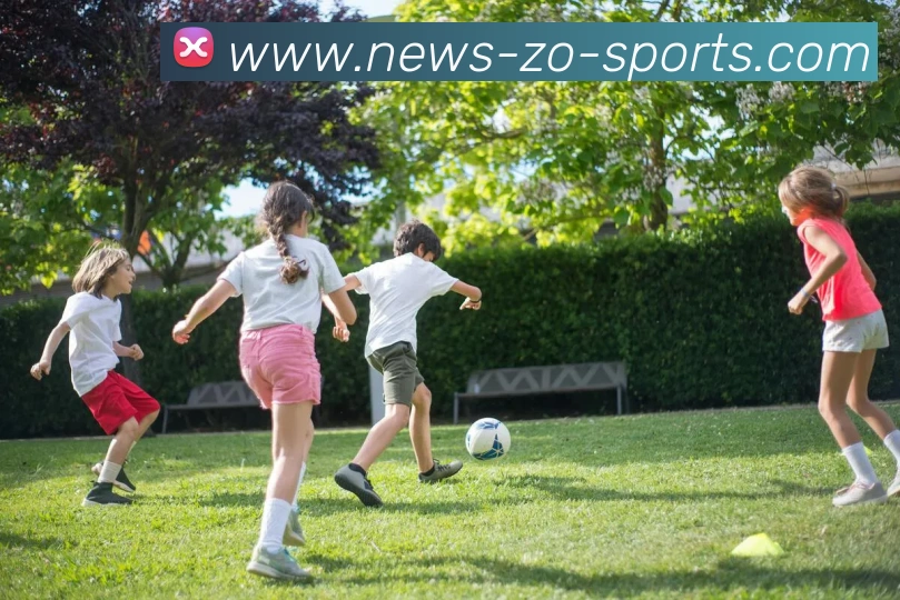 中欧体育发展历程